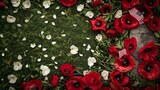 Fototapeta  - Red Poppies and American Flags Embrace Tombstones in a Joyful Scene of Remembrance