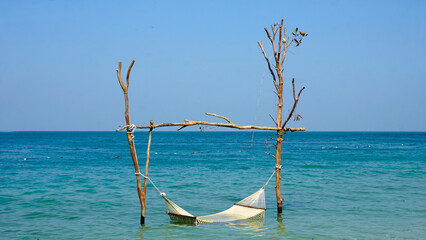 Wall Mural - beach hammock at starfish beach