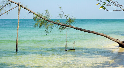 Wall Mural - beach swing at starfish beach