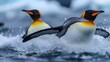 two penguins 
