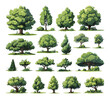 Cartoon Trees and Bushes. Forest Floral Elements on white, Various green spaces icons Vector Flat Style Collection