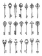 Linear sketch Keys in Fantasy Style. Ething Key Vector Designs with Intricate Detail and Clean Lines