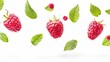 Vibrant floating raspberries and fresh leaves isolated on a white background, capturing a fresh and appetizing look.