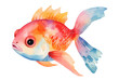 Colorful fish isolated on a white background. Vector illustration. Goldfish art. Watercolor sea life element for your design. Exotic animal illustration.