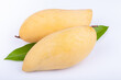 mango on white backgroud