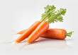 Fresh Carrots with sliced isolated on white background