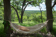 A cozy hammock stretched between two trees, gently swaying in the breeze as it offers a perfect spot for an afternoon nap.