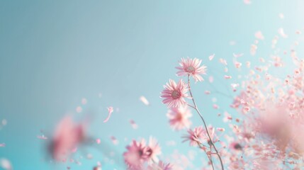 Wall Mural - light blue background with pink daisies, pastel color theme, copy space concept