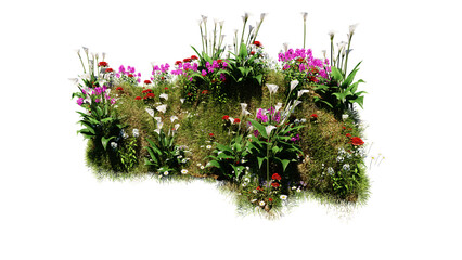 Wall Mural - 3D render various types of flowers grass bushes shrub and small plants on transparent background