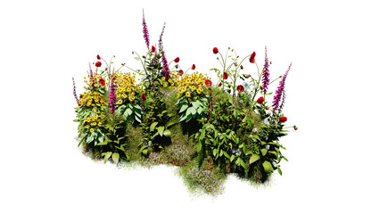 Wall Mural - 3d render various types of flowers grass bushes shrub and small plants on transparent background
