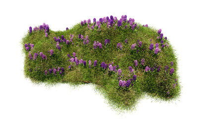 Wall Mural - 3d render various types of flowers grass bushes shrub and small plants on transparent background