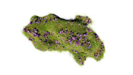 Wall Mural - top view of 3d render various types of flowers grass bushes shrub and small plants on transparent ba