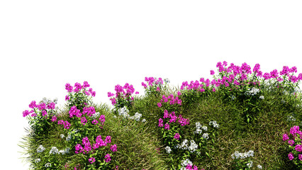 Wall Mural - 3d render various types of flowers grass bushes shrub and small plants on transparent background
