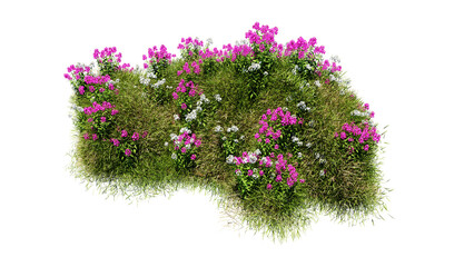 Wall Mural - 3d render various types of flowers grass bushes shrub and small plants on transparent background