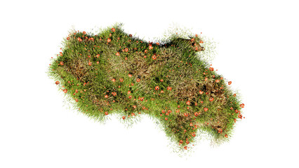 Wall Mural - top view of 3d render various types of flowers grass bushes shrub and small plants on transparent ba