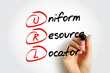 URL - Uniform Resource Locator is a unique identifier used to locate a resource on the Internet, acronym text concept background