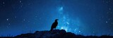 Fototapeta  - Eagle Silhouette with Starry Night Backdrop