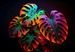 Tropical monstera plant leaves with glowing neon hues against black backdrop