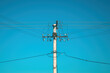Electricity pole with overhead wires and street light lamp