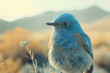 Pájaro azul en su hábitat natural con bokeh.