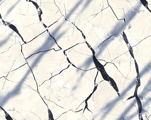 Sticker - White Marble With Black Veins Surface Abstract Background, Shadows, Natural Light, 