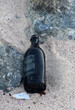 Discarded Bottle Dumped on a Beach