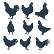 Silhouettes of chickens and roosters in various posture