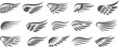 Eagle wings icon collection