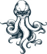 Octopus with skull head