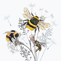 Wall Mural - Fashion vector floral illustration with bumblebee and plants