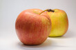 Two Fresh Apples on a Plain Background