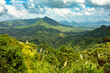Sunny jungle landscape. Hard trek to hidden ancient ruins of Tayrona civilization Ciudad Perdida in Colombian jungle. Santa Marta, Sierra Nevada mountains, Colombia wilderness.
