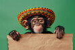 a monkey portrait wearing a sombrero hat and mexican style clothing holding a blank promotion sign