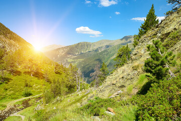Wall Mural - Beautiful sunrise in mountain valley in Pyrenees.