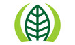 nature green leaf logo