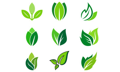 Poster - set icon template green leaf logo