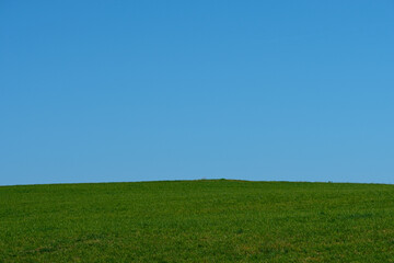 Green meadow with blus sky landscape scenery