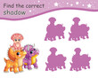 Find correct shadow of triceratops dinosaurs family vector illustration