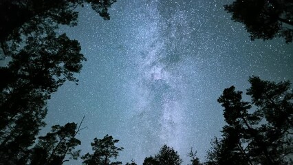 Poster - experience the wondrous awe of the milky way bands between forest trees