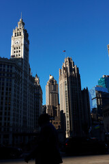 Wall Mural - Architecture in the downtown of Chicago, Illinois