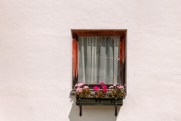 Canvas Print - windows in the facades