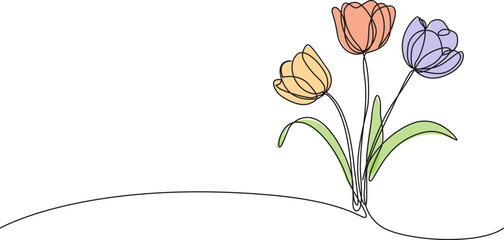 Wall Mural - continuous single line drawing of colorful tulips, line art vector illustration