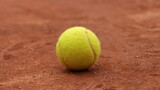 Fototapeta  - a tennis ball sits on a tennis court, ready to serve the ball