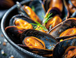 Macro close up of steamed black mussels