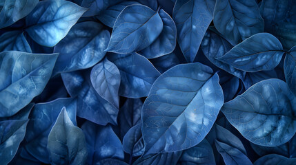 Wall Mural - Blue color Leafs in garden background, macro pattern.