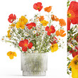  Small bouquet of wildflowers in a vase with poppy isolated on white background