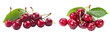 © KEi89Studio - Cherries with leaves isolated on a transparent background