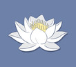 Nice lotus flower