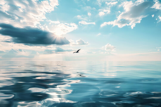 In the water with smooth blurred water in foreground and slim piece of land on horizon with white puffy clouds and sea birds