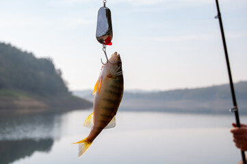 fishing on the lake